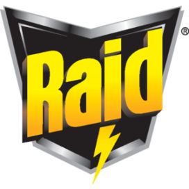 Raid logo