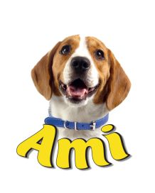 Ami logo