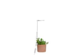 4Living 4Living Kasvivalaisin LED 642922