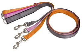 BestFriend BF Pawsome koiran talutin M/L 25mmx180cm 15-30kg 1142540