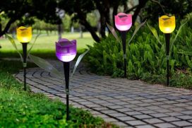 Tarmo Valokukka solar