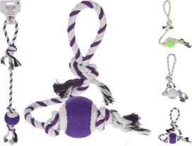 Dogs Koiran vetonaru pallolla