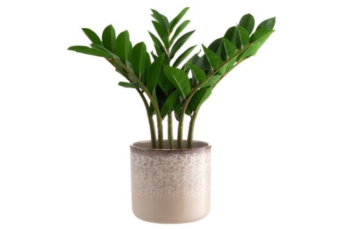 4Living ruukku Oceana 17cm 645669 tuotekuva 1