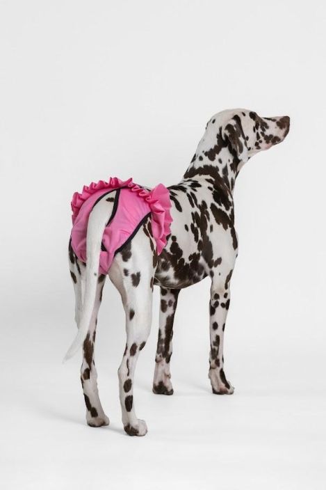 Finnero Ballerina juoksuhousut pinkki L tuotekuva 5 Finnero Ballerina juoksuhousut pinkki L tuotekuva 5