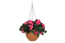 4Living 4Living Begonia amppeli pinkki 631745