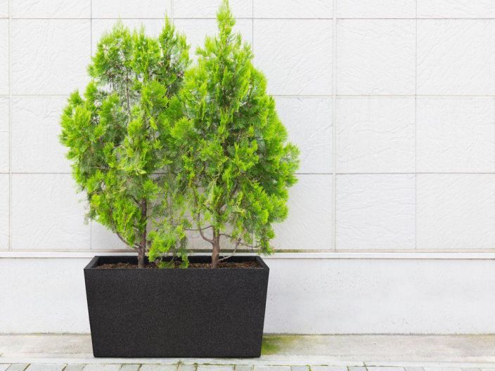 Termoruukku Patio 76cm musta 276396 tuotekuva 1
