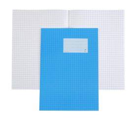 Paperipiste ruutuvihko A4/20