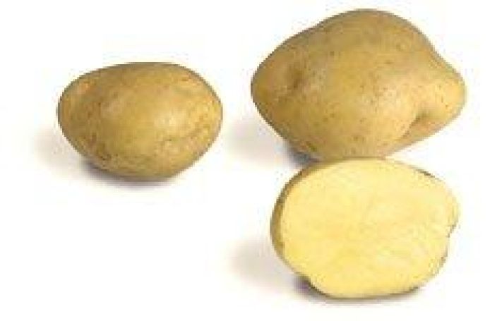 Istukasperuna Timo 1kg Timo on varhaiskauden lajikkeita jonka on keittotyyppi kiintea ja sopii parhaiten mm. laatikoihin,