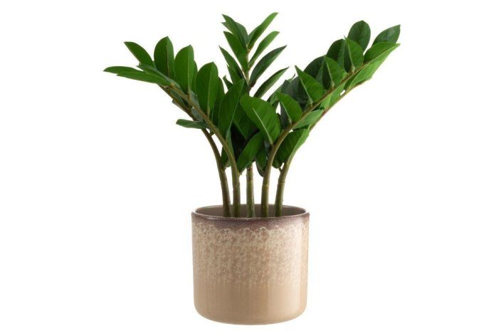 4Living ruukku Oceana 17cm 645669 tuotekuva 3