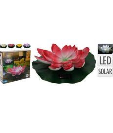 Lumpeenkukka kelluva solar 28cm 1kpl