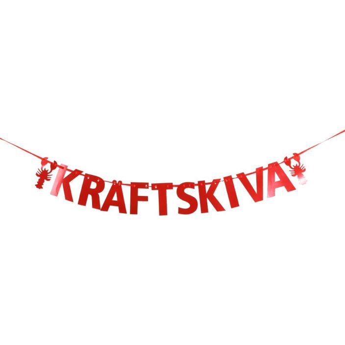 Viiri Kraftskiva 2m 74037