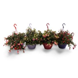 Verenpisara-amppeli 21cm
