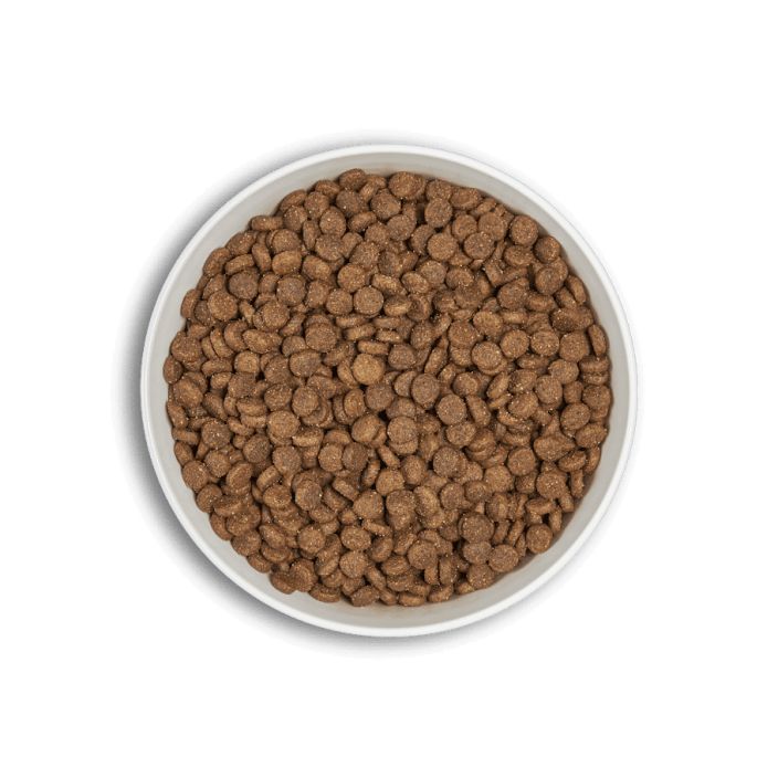 ERA Grain-Free Kitten - Fresh Chicken &amp; Turkey 1,25kg tuotekuva 1
