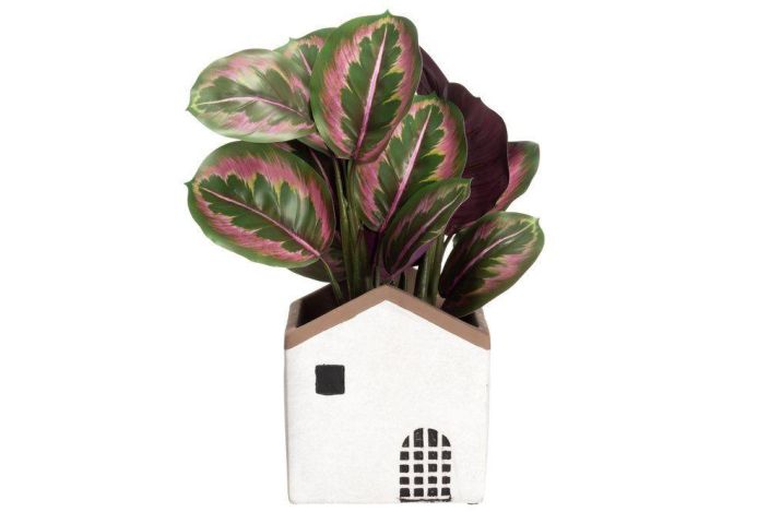4Living ruukku Talo 20cm 643537 tuotekuva 3