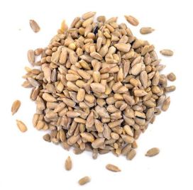 Kuorittu auringonkukansiemen 20kg