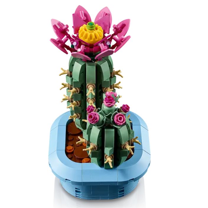 Kukkiva kaktus 11509 tuotekuva 3