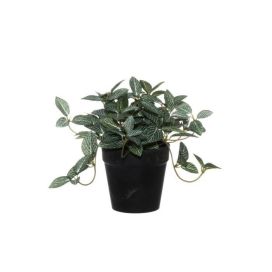 4Living 4Living Pitsilehti ruukussa 632811