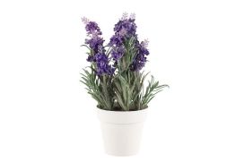 4Living 4Living Laventeli 328820