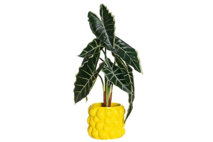 4Living ruukku Lemon 16,5cm 645562 tuotekuva 1