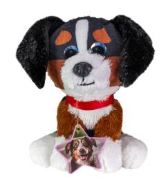 Lumo Stars Lumo classic Berninpaimenkoira Bruno 59698