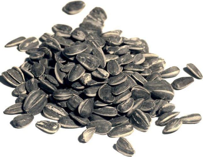 Auringonkukansiemen 10kg 905-071