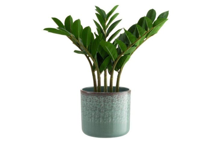4Living ruukku Oceana 17cm 645669 tuotekuva 2