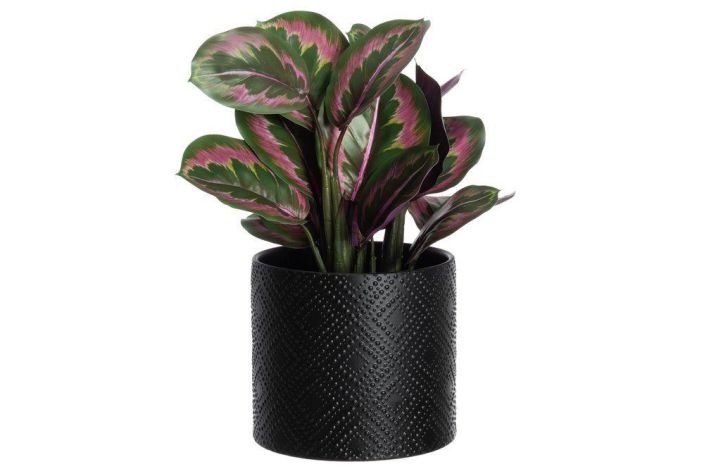4Living ruukku Melissa 20cm 645545 tuotekuva 3