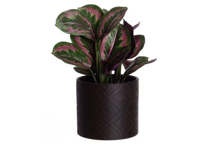 4Living ruukku Melissa 20cm 645545 tuotekuva 2