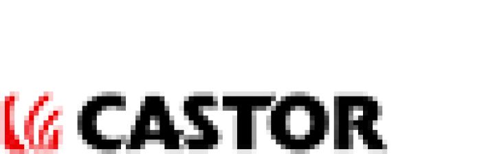 Castor logo