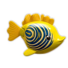 Rainbow Reef Fish - Zebra kala 6072505