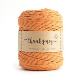 Lankava Chunkymop 84 aprikoosi 700g