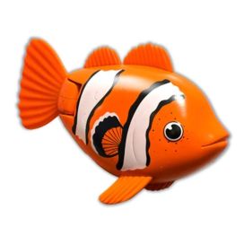 Rainbow Reef Fish - Clown kala 6072502