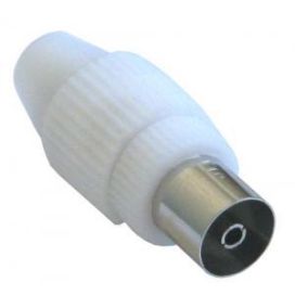 Antennipistike suora naaras