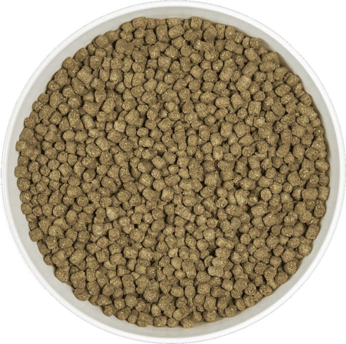 Cunipic Alpha Pro Guinea Pig 500g tuotekuva 1