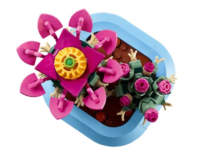 Kukkiva kaktus 11509 tuotekuva 2