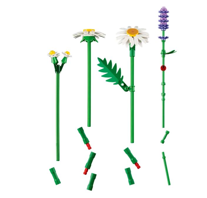 Päivänkakkarat 11508 tuotekuva 3 Päivänkakkarat 11508 tuotekuva 3