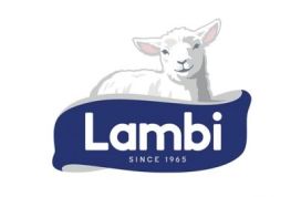 Lambi