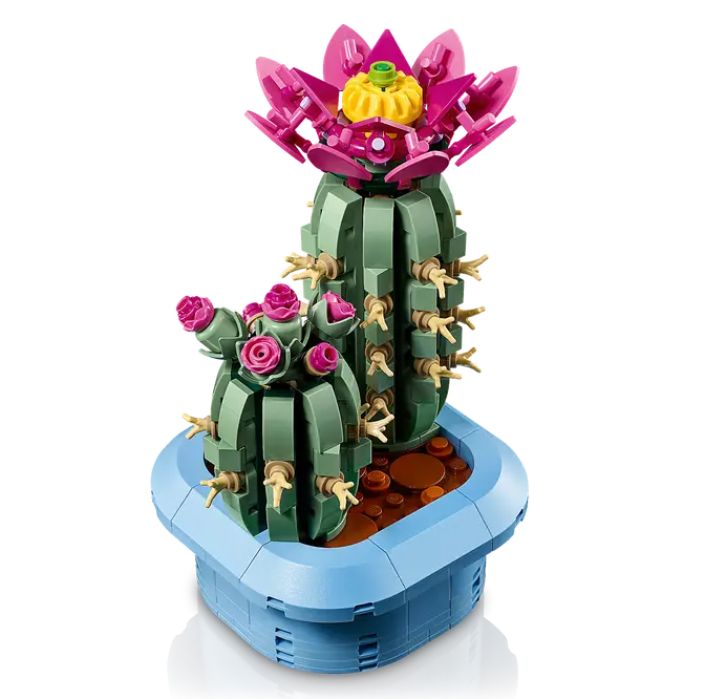 Kukkiva kaktus 11509 tuotekuva 4