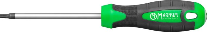 Ruuvitaltta T25 100mm 22525 980-1341